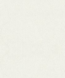 Vải dán tường Harmony 2052
